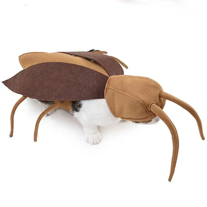 Fantasia de barata para pet