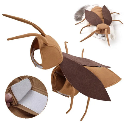 Fantasia de barata para pet