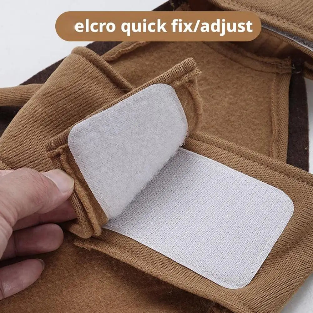 Fantasia de barata para pet