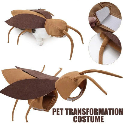 Fantasia de barata para pet