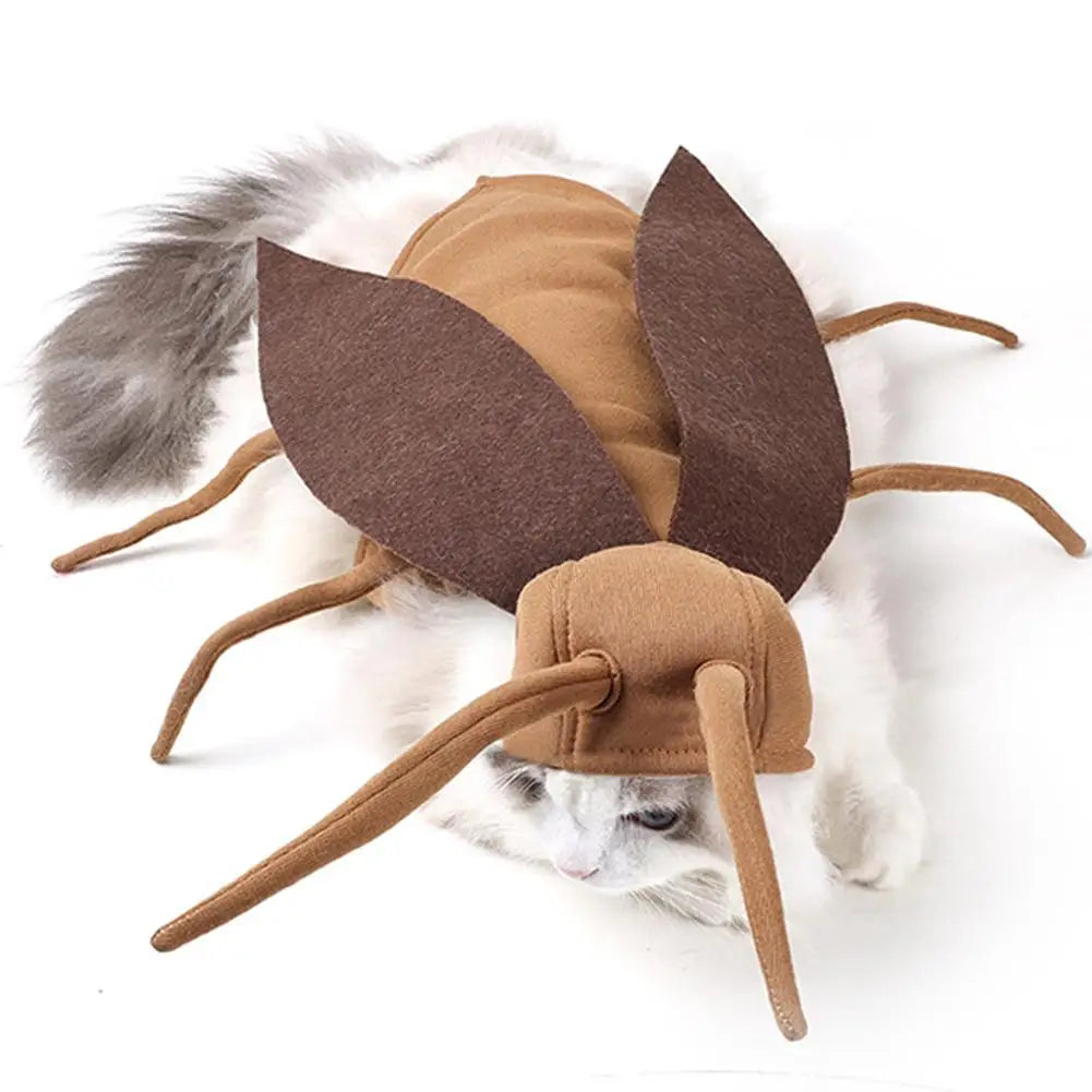 Fantasia de barata para pet