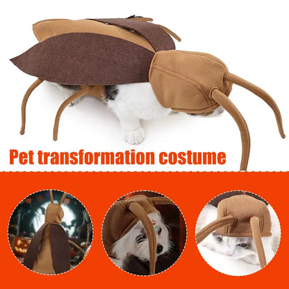 Fantasia de barata para pet